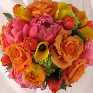 Meet your Posher, Maria j.